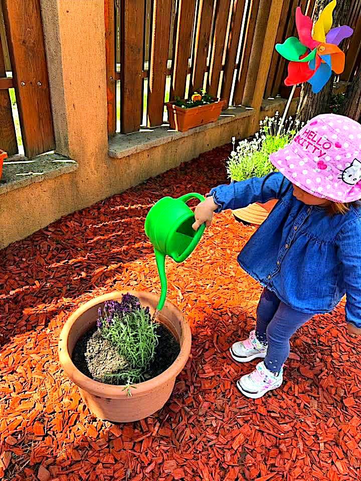 GrÄƒdiniÈ›a Hopscotch IaÈ™i â€“ moment din viaÈ›a grÄƒdiniÈ›ei (20)